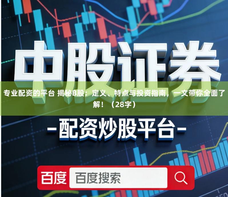 专业配资的平台 揭秘B股：定义、特点与投资指南，一文带你全面了解！（28字）