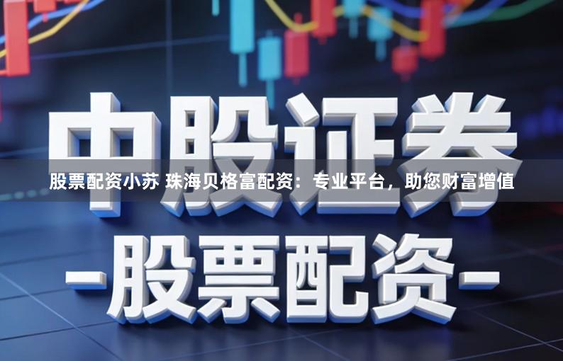 股票配资小苏 珠海贝格富配资：专业平台，助您财富增值