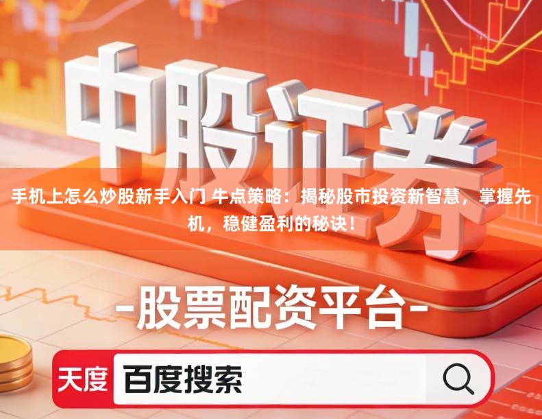 手机上怎么炒股新手入门 牛点策略：揭秘股市投资新智慧，掌握先机，稳健盈利的秘诀！
