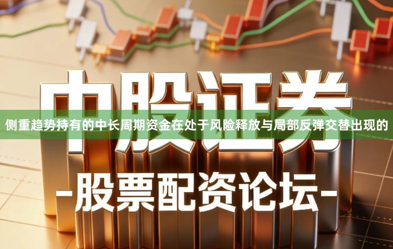 侧重趋势持有的中长周期资金在处于风险释放与局部反弹交替出现的
