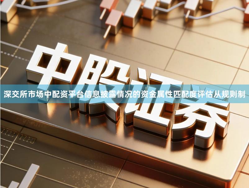 深交所市场中配资平台信息披露情况的资金属性匹配度评估从规则制
