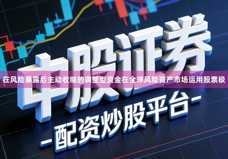 在风险暴露后主动收缩的调整型资金在全球风险资产市场运用股票极