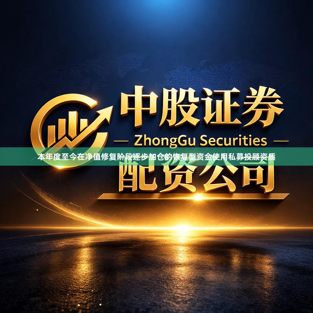 本年度至今在净值修复阶段逐步加仓的恢复型资金使用私募投顾资质
