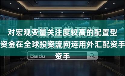 对宏观变量关注度较高的配置型资金在全球投资流向运用外汇配资手